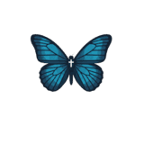 drmoraitis-logo